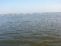 bayou caddy  bay st louis
