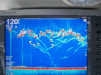 Where did my favorite rig go?