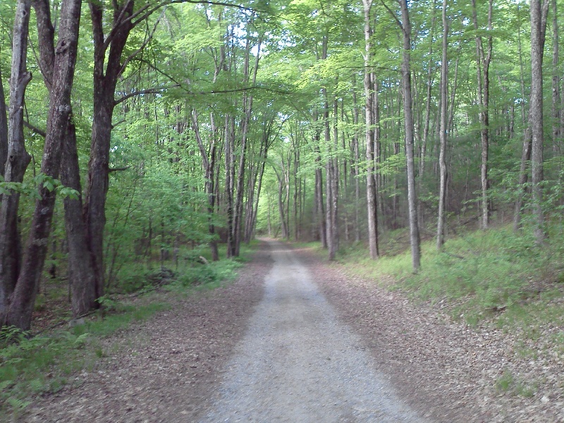 path